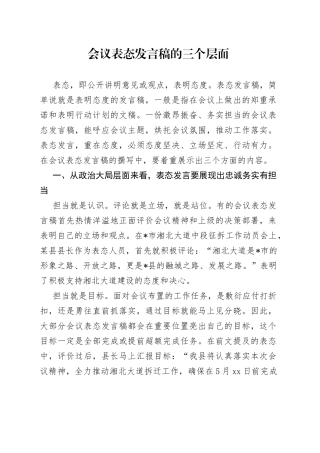 会议表态发言稿的三个层面