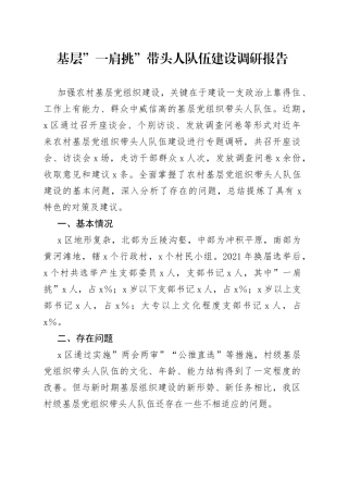 基层”一肩挑”带头人队伍建设调研报告