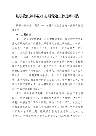 基层党组织书记抓基层党建工作述职报告