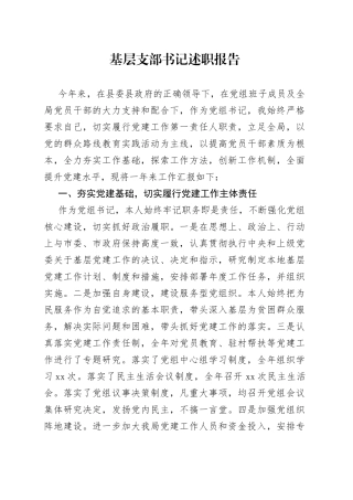 基层支部书记述职报告