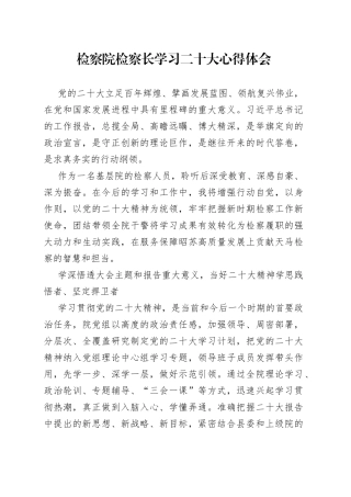 检察院检察长学习二十大心得体会