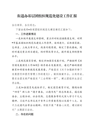 街道办基层团组织规范化建设工作汇报
