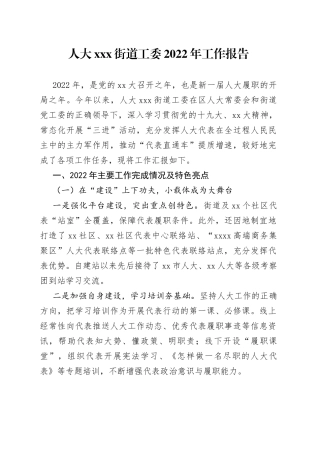 街道人大2022年工作报告