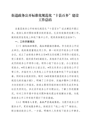 街道政务公开标准化规范化“十县百乡”建设工作总结
