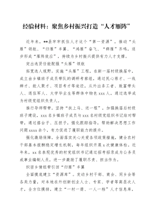 经验材料：聚焦乡村振兴打造“人才雁阵”