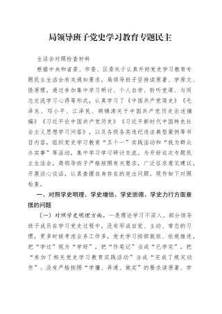 局领导班子党史学习教育专题民主