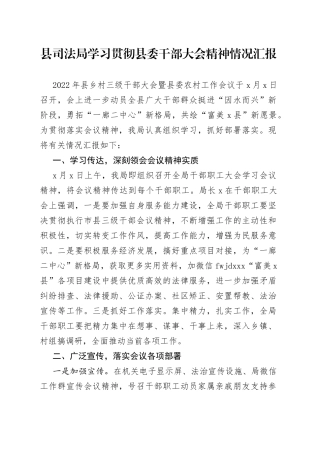 局学习贯彻县委干部大会精神情况汇报