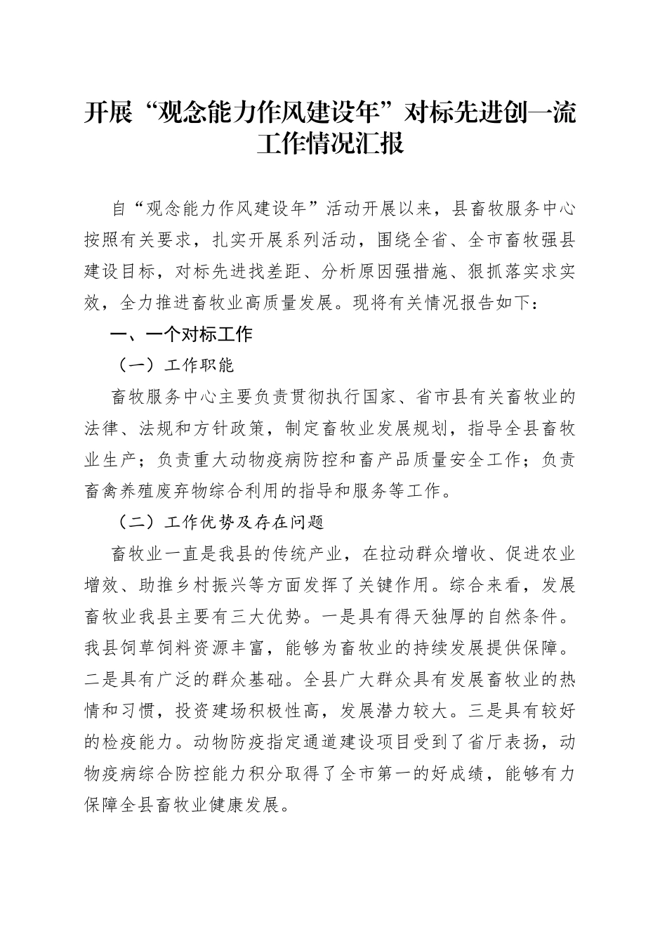 开展“观念能力作风建设年”对标先进创一流工作情况汇报_第1页