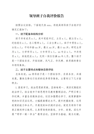 领导班子自我评价报告