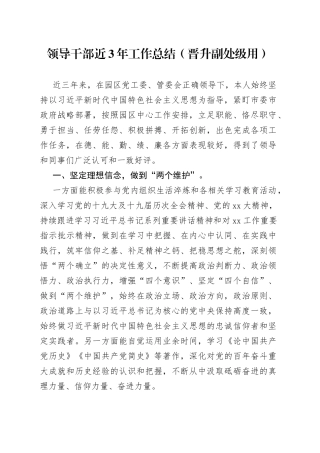 领导干部近3年工作总结（晋升副处级用）