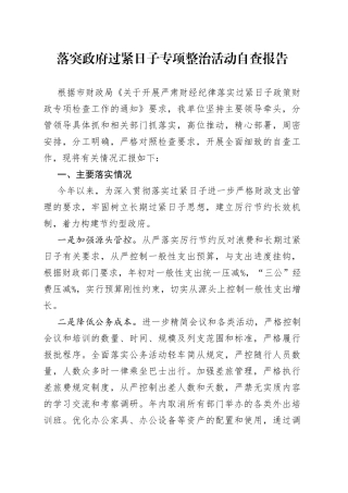 落突政府过紧日子专项整治活动自查报告