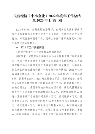 民营经济局2022年度年工作总结及2023年工作计划