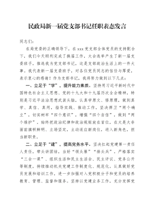 民政局新一届党支部书记任职表态发言