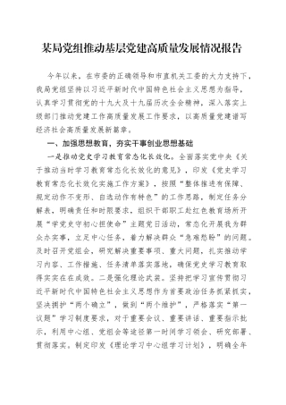 某局党组推动基层党建高质量发展情况报告