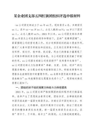 某企业团支部五四红旗团组织评选申报材料