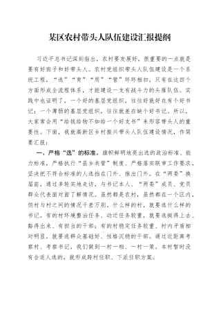 某区农村带头人队伍建设汇报提纲