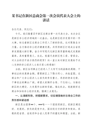 某书记在新区总商会第一次会员代表大会上的讲话