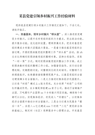 某县党建引领乡村振兴工作经验材料
