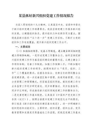某县抓好新兴组织党建工作情况报告