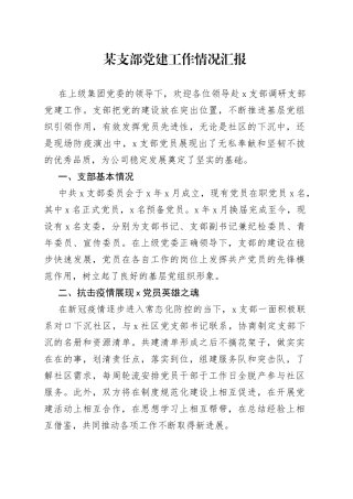 某支部党建工作情况汇报