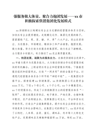 强服务做大体量，聚合力抱团发展市积极探索供销集团化发展模式