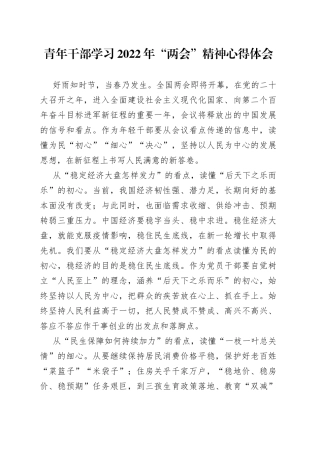 青年干部学习2022年“两会”精神心得体会