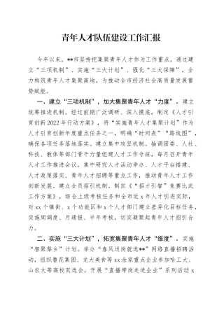 青年人才队伍建设工作汇报