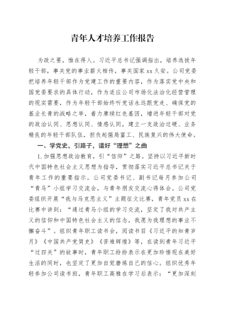 青年人才培养工作报告