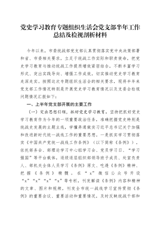 生活会30：（支部）专题组织生活会党支部半年