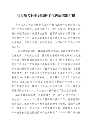 实施乡村振兴战略工作进展情况汇报