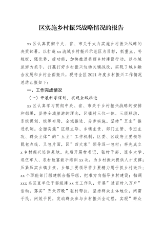 实施乡村振兴战略情况的报告