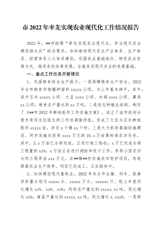 市2022年率先实现农业现代化工作情况报告