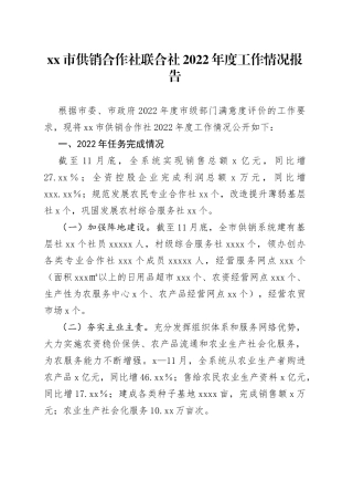 市供销合作社联合社2022年度工作情况报告