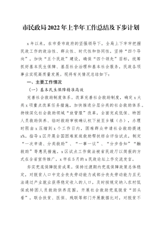 市民政局2022年上半年工作总结及下步计划