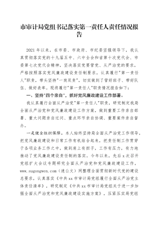 市审计局党组书记落实第一责任人责任情况报告