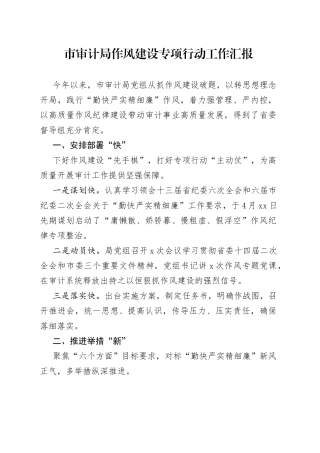 市审计局作风建设专项行动工作汇报