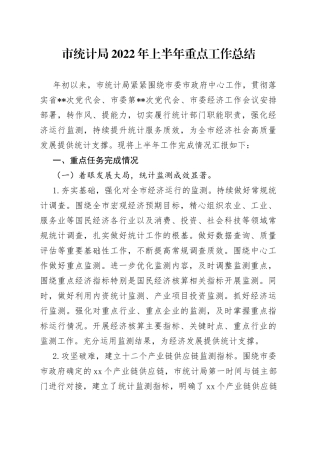 市统计局2022年上半年重点工作总结