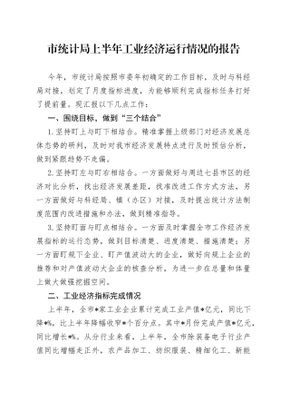 市统计局上半年工业经济运行情况的报告