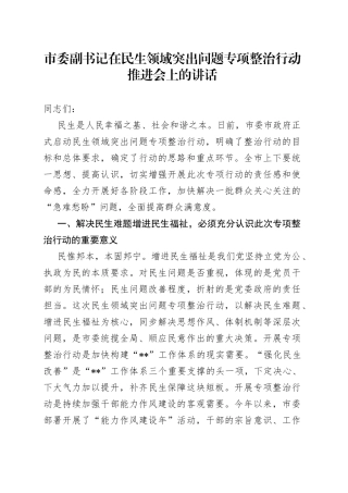 市委副书记在民生领域突出问题专项整治行动推进会上的讲话