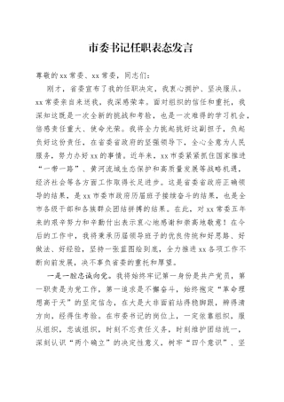 市委书记任职表态发言