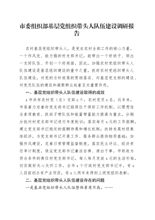市委组织部基层党组织带头人队伍建设调研报告