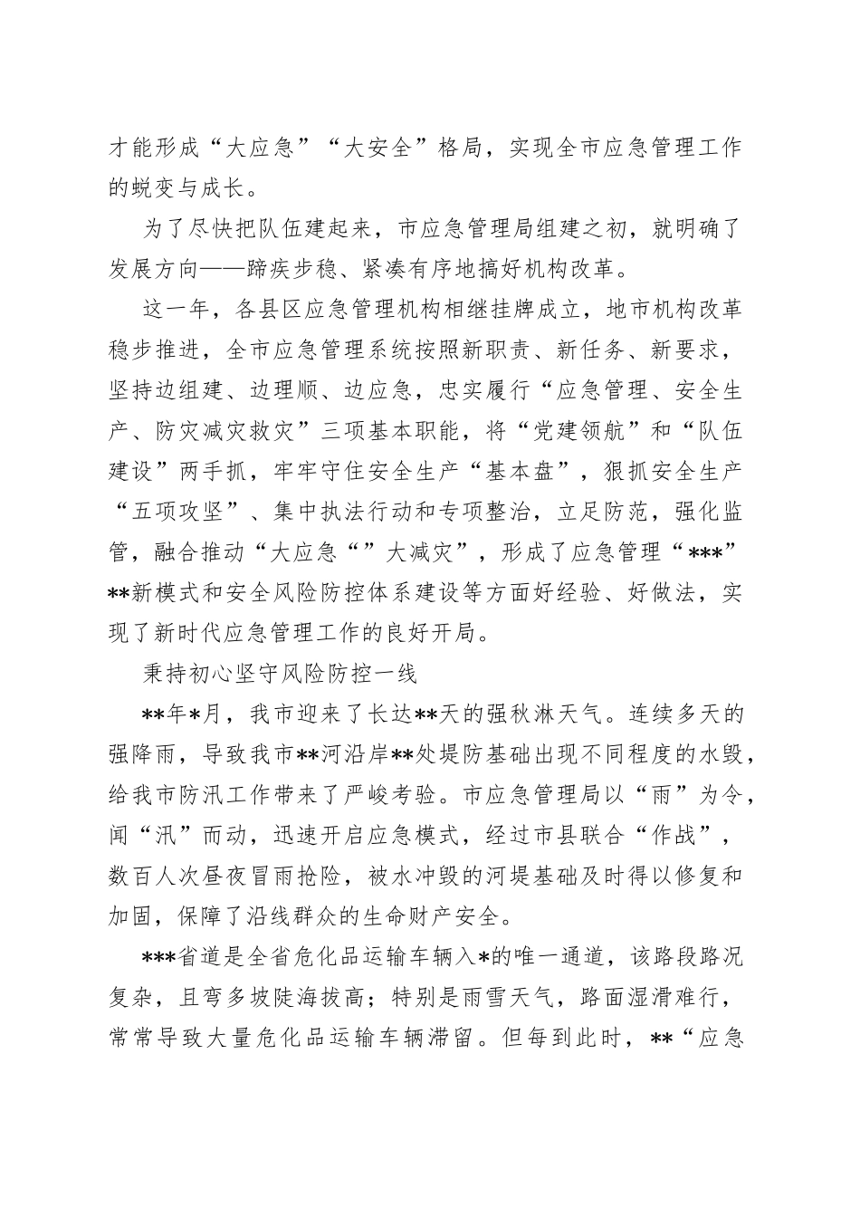 市应急管理局成立一周年工作综述_第2页