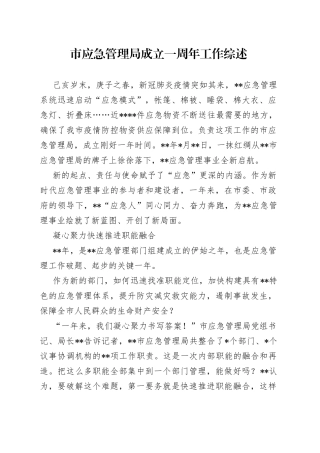 市应急管理局成立一周年工作综述