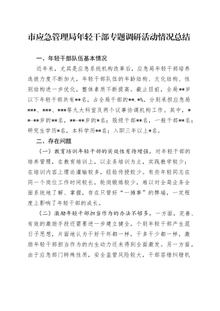 市应急管理局年轻干部专题调研活动情况总结