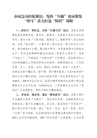 市应急局经验做法：发挥“头雁”效应激发“赛马”活力打造“防控”屏障