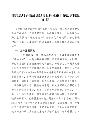 市应急局争做清廉建设标杆城市工作落实情况汇报