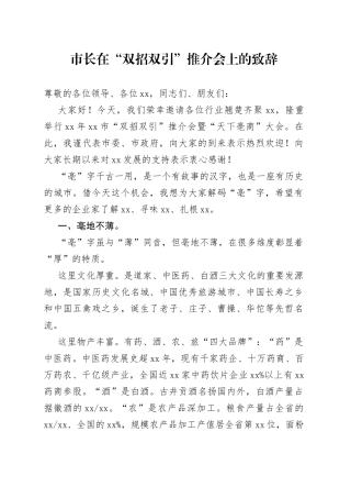 市长在“双招双引”推介会上的致辞