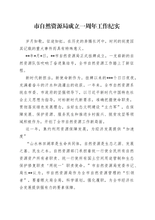 市自然资源局成立一周年工作纪实