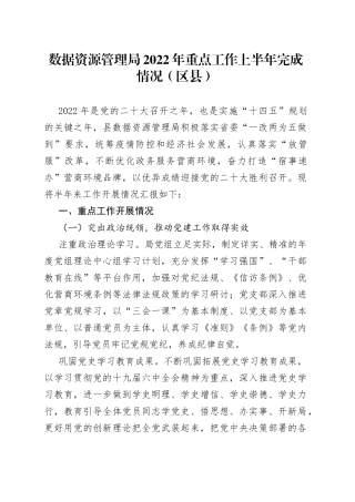 数据资源管理局2022年重点工作上半年完成情况（区县）