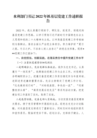 水利部门书记2022年抓基层党建工作述职报告